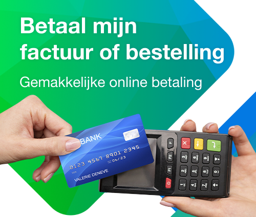 Nl pay payment